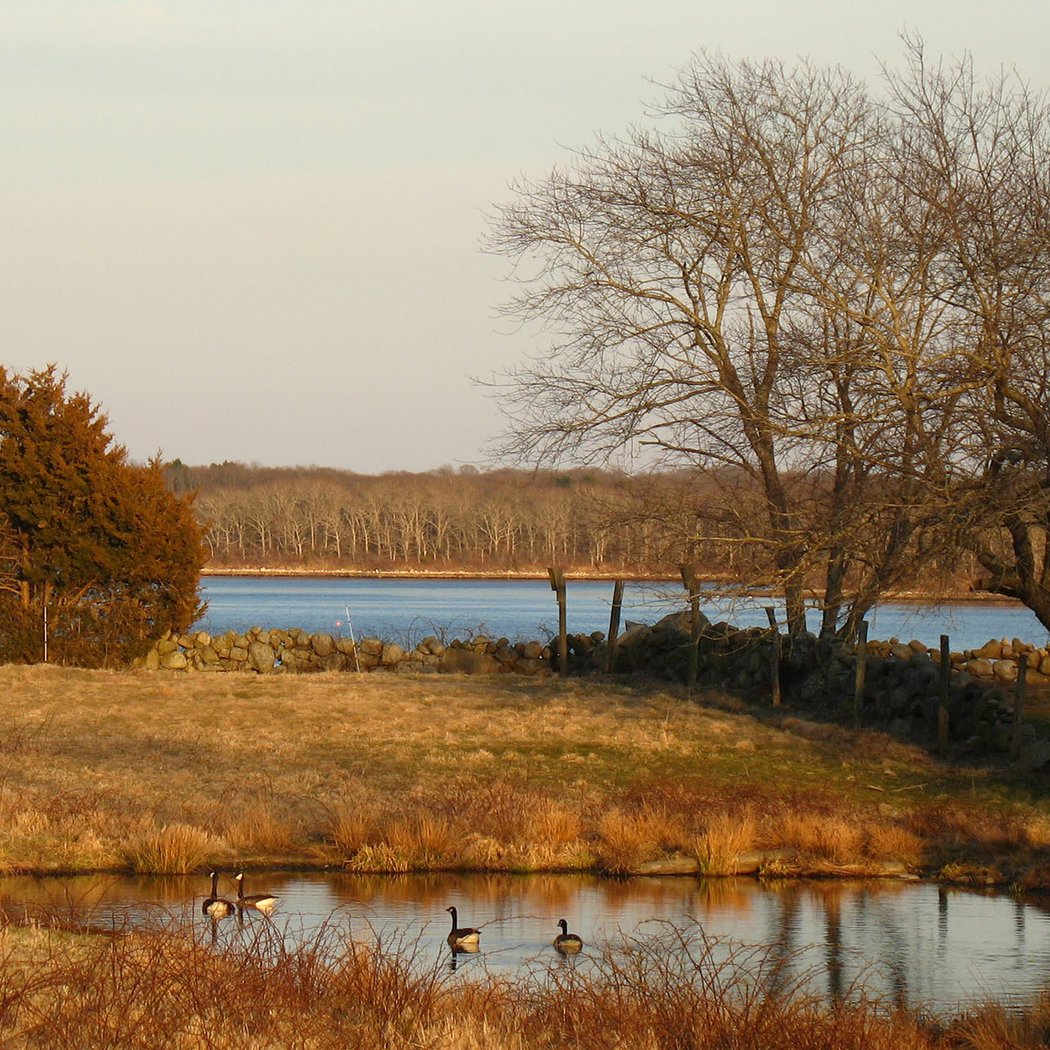 Vanishing Ecologies: Nature Walk 1